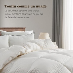 Couette Blanche CO-45B (200X230) Cm