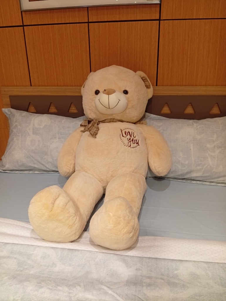 PELUCHE BLANCHE PEL-C120M