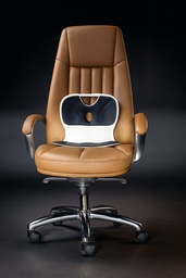 ERGONOMIC CHAIR FE-CKF1003A