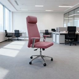 ERGONOMIC CHAIR