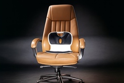 ERGONOMIC CHAIR FE-CKF1003A