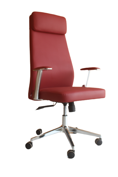 Fauteuil Ergonomique FE-5005A4