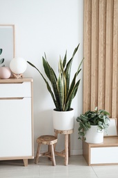 DECORATION AND TEXTILE