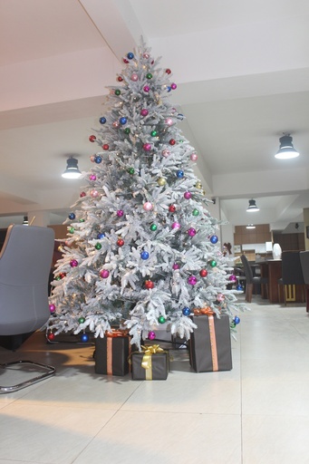 [SN-230012-270] SAPIN DE NOEL LUMINEUX SN-230012-270