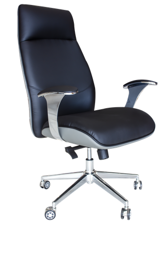 [FE-A346] FAUTEUIL  ERGONOMIQUE FE-A346