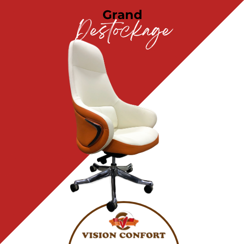 [FE-A803S] Fauteuil ergonomique