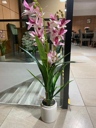 [FP-012] FLEUR EN POT FP-012