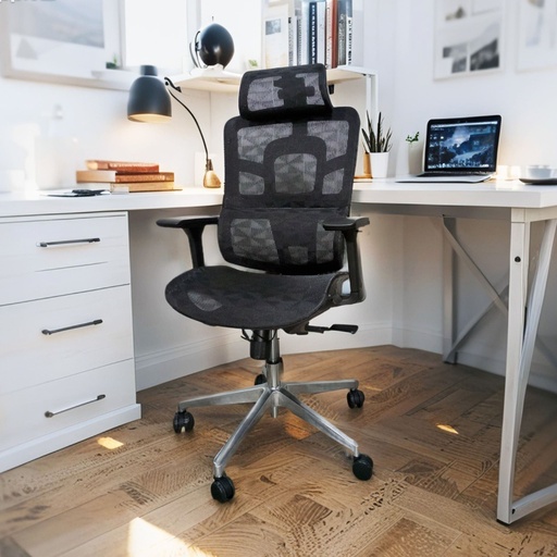 [FE-A003L-S] ERGONOMIC CHAIR FE-A003L-S